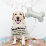 29″ Μπαλόνι άσπρο Κόκκαλο - Image 3