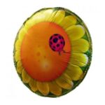 36'' Μπαλόνι Δίσκος Hover - Image 2