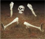 Διακοσμητικός Σκελετός για τον κήπο (10 τεμ) - Image 3