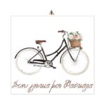 Ξύλινο καδράκι Στην γλυκιά Δασκάλα Ποδήλατο