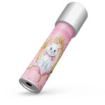 Καλειδοσκόπιο Marie Αριστόγατες