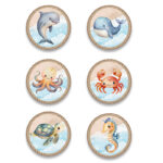 Κονκάρδες Θάλασσα (6 τεμ)