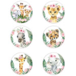 Κονκάρδες Ζώα της Ζούγκλας κορίτσι (6 τεμ)