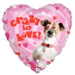 21" Μπαλόνι σκυλάκι "Crazy In Love"