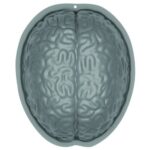 Φόρμα σε σχήμα Εγκεφάλου