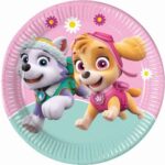Πιάτα φαγητού Paw Patrol Skye & Everest (8 τεμ)