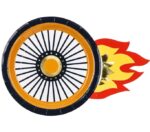 Πιάτα σχηματικά Ρόδα (6 τεμ)