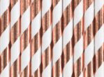 Rosegold χάρτινα καλαμάκια ριγέ (10 τεμ)