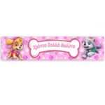 Banner με μήνυμα Skye & Everest