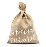 Σάκος Special Surprise