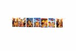 Σημαιάκια με όνομα Lego Ninjago - Image 2