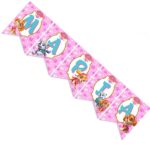 Σημαιάκια με όνομα Skye & Everest