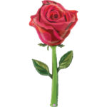 Τεράστιο Μπαλόνι Τριαντάφυλλο Satin 165cm