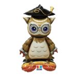 Μπαλόνι Φοιλ  Αποφοίτηση - Graduation 70 x 116 x 40 εκ