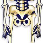 Σκελετός διακοσμητικός  ύψους 90εκ.