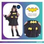 Στολή Batgirl Classic Costume  3-4 Ετών