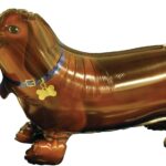 Walking Balloon Ντασχουντ Σκύλος/dog