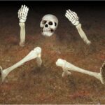 Διακόσμηση Πλαστική Σκελετός 10 τεμ 18 - 32 εκ