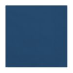 Μπλε Χαρτοπετσέτες (20 τεμ)