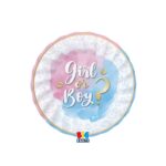 Πιάτα χάρτινα Γλυκού 20εκ Gender Reveal /8 τεμ